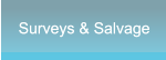 Surveys & Salvage Surveys & Salvage